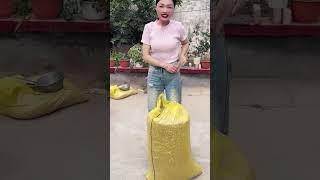 웃지 마세요  최고의 웃긴 영상  #코메디 #재미있는 #단편영상
