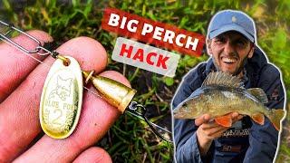 Perch Fishing HACK! How to catch BIG PERCH on Spinners!