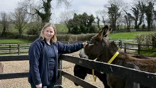 Donkey Sanctuary