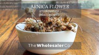 Dry Arnica Flower - Arnica Montana - TheWholesalerCo