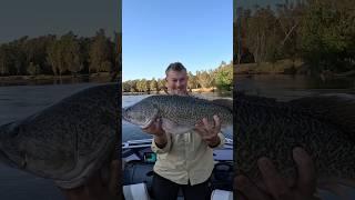 Now That’s A Big Fish!!! #adventure #fishing #shortsviral #fish #trending #gopro #viral #viralvideo