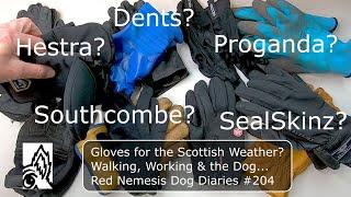 Gloves for the Scottish Weather? Walking, Working & the Dog. Red Nemesis Dog Diaries #204