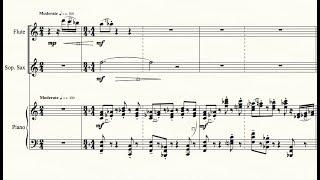 A Parlance of Episodic Contradiction no 2, for flute, soprano sax and piano by Brett Thompson