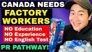 URGENT! FACTORY WORKER JOBS IN CANADA & PR PATHWAY  |  ZT CANADA IMMIGRATION