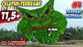 CELEPUK SUPER BIG SIZE 11,5+Meter!! Milik RA LONTONE Sukses Mengudara...