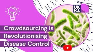Crowdsourcing is Revolutionising #DiseaseControl: Lessons from #Ecoli Outbreaks