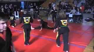 American Black Belt Academy-Slicing Dragons