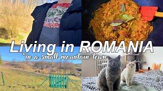 Property Hunting in ROMANIA, Cooking Curry, Shopping, Realistic Daily Life Vlog, ASMR Silent Vlog