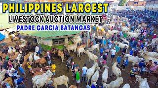 PADRE GARCIA BATANGAS Livestock Auction Market and Public Market Walking Tour