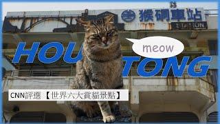 Discover the Charm of Houtong Cat Village: Taiwan` s Feline Heaven | Old Mining History Also Here