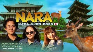 नारा जापान  NARA (奈良 )VLOG JAPAN | NARA DEER ​Nepali vlog in japan ⁠@susilarumdalirai