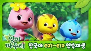[엄마 까투리/KATURI] 1~10화 연속보기 (60분) | 엄마까투리 몰아보기