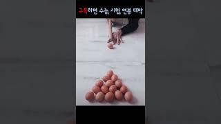 물에 빠진 미녀 웃긴 반응 등 웃긴 영상 모음