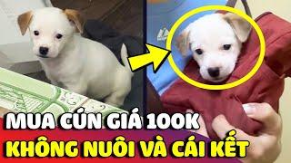 Mua bé cún với 'GIÁ 100K' rồi không nuôi, cô gái có 'HÀNH ĐỘNG' khiến ai cũng ấm lòng  | Gâu Đần