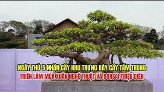 Quảng Tùng| TRIỂN LÃM MÙA XUÂN NGHỆ THUẬT VÀ BONSAI, khu trưng bày những tác phẩm tầm trung