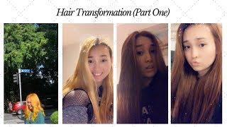 At Home Hair Transformation | Part One | Brielle WhatElse