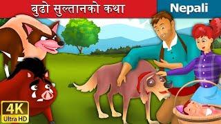 बुढो सुल्तानको कथा | The Old Sultan Story  in Nepali Story | Nepali Fairy Tales | Wings Music Nepal