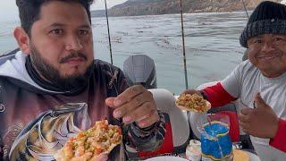 Pescando en palos verdes la última pesca del año