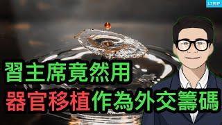 為何戴晴講六四“真相”激怒了一眾當年學生領袖？習主席竟然用器官移植作為外交籌碼；物理碩士終於“脫下了孔乙己長衫”。