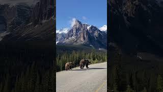 Banff National Park | Canada