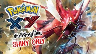 [LIVE] หาสีแปลกตัวที่สี่ POKEMON XY SHINY ONLY