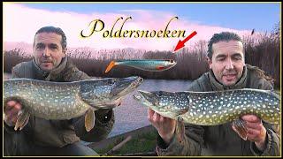 Poldersnoeken met shads - Snoekvissen in de winter #87