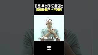 피로 푸는데 도움되는 흉쇄유돌근 스트레칭 #shorts