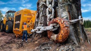 Máquinas Incríveis de Equipamento Pesado Que Você Nunca Tinha Visto Antes