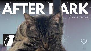 The Cattery AFTER DARK! Nov 5 |  Robbie Co-host