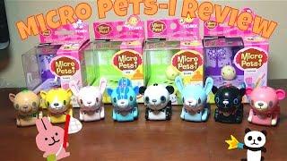 Micro Pets-i Review