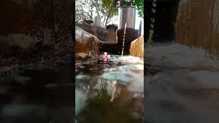 sourav joshi vlogs water #vlog #nature #comedy #shorts