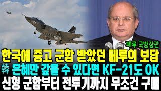 한국에 중고 군함 받았던 페루의 보답 韓 은혜만 갚을 수 있다면 KF-21도 OK 신형 군함부터 전투기까지 무조건 구매