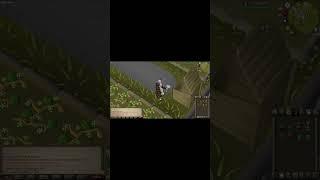 How to Fill a Compost Bin While Harvesting Crops (Quick & Easy Guide) OSRS