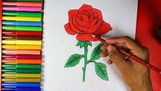 How to Draw a Rose Easy