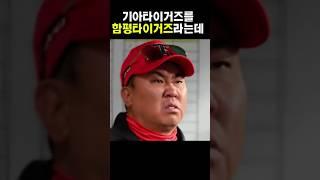 함평타이거즈?