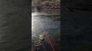 Trout fishing tip of the day #trout #fishing #technique #howto