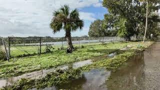 Hurricane Milton (Daytona Beach) Aftermath