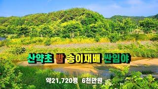 #봉화임야매매 #봉화송이산 #산약초재배임야 #밤나무임야 #호두나무임야 #봉화토지매매 경상북도 봉화군 임산물재배 산약초산나물재배 밤나무산 호두나무산 임업경영체등록 (봉화-2425)