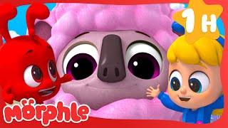 Magic Pink Sheep!MorphleCartoons for KidsFantasy Playground