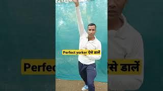 How to bowl perfect Yorker in tennis ball #sachinbora #shorts