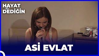 Hayat Dediğin - Asi Evlat