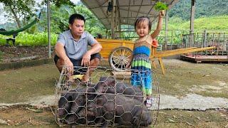 Bring the piglets to the market to sell - Cooking/XuanTruong.