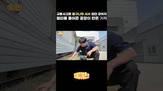 교통사고로 인해 물구나무 서서 걸어다니던 강아지 절미를 품어준 공장 사람들