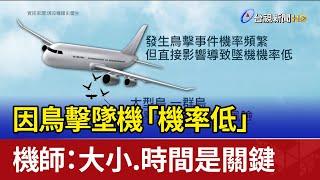 因鳥擊墜機「機率低」 機師：大小.時間是關鍵