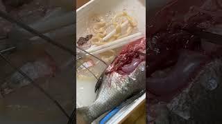 Рыба на выезде в ОЦ Команда
