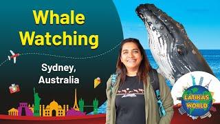 Sydney's Ultimate Whale Watching Tour!