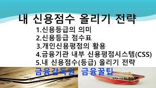 내 신용점수(등급) 올리기 전략 및 개인신용평가 반영요소 알기(금감원 금융꿀팁)