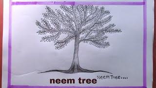 How To Draw Neem Tree Step By Step/Neem Tree Drawing