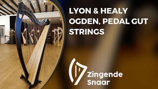 Lyon & Healy Ogden, pedal gut strings