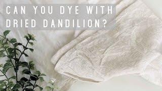 Can You Dye with Dried Dandelion Root?